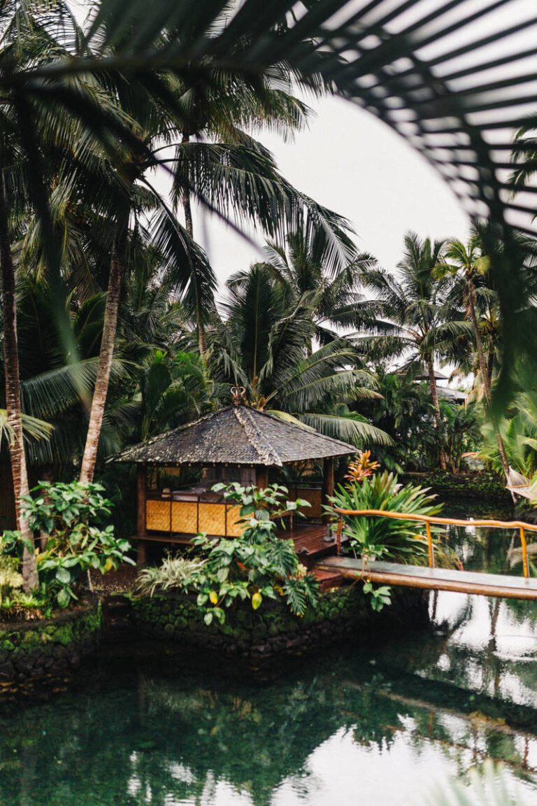 Depositphotos 274169818 XL