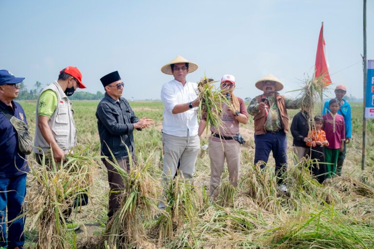 WhatsApp Image 2025 07 14 at 16.52.27